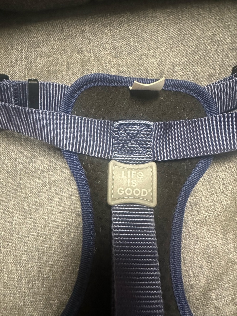 Life is Good Daisy Dog Harness- Baja Yellow - Picture 7 of 8